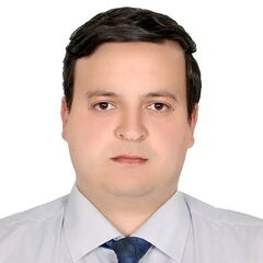 محمود حسنى طه, Sales Manager