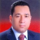 Nasser Kamel, CMA., Finance Manager