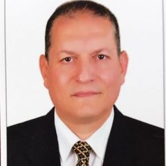 Mahmoud Al-Husseini, Technical Director