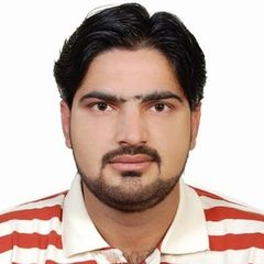 Syed Ali Raza Gillani, Electrician