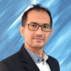 مروان عويمر, Sr.IT Section Manager