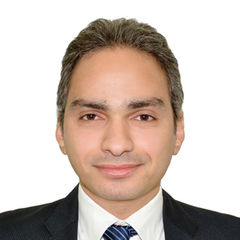 Mohamed Ezz Al Din, Senior Financial Consultant