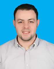 أحمد أمين, Audit supervisor