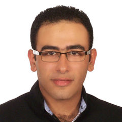Mahmoud Hassanien, Senior maintenance engineer