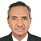 Professor/ Seifeddin Gaafar Ballal