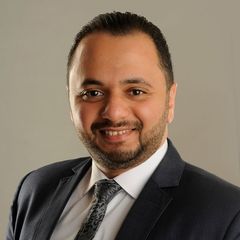 Ahmed El_Ammary, Program Manager