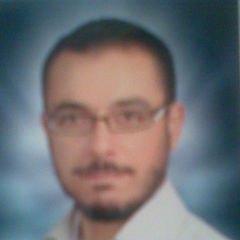 عمرو سليمان, Technical Office Engineer