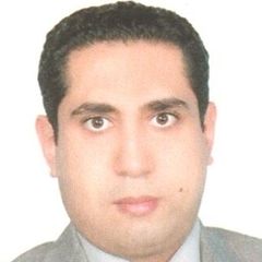 Abdel Hamid Awad, Accountant Supervisor