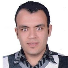 mahmoud adel, Local sales manager