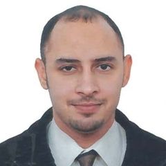 أسامة عمر سليمان, مدير قسم الميكانيكا