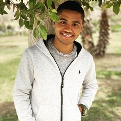 Mohamed Ahmed Elbadry