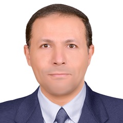 Abdrabou Sharafeldin, Education Consultant 