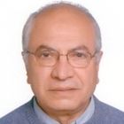 Mohamed Shukry Mohamed Ali Hassan, Consul\tant