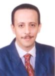 Mahmoud Hassan Metwally Ahmed Assal