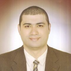 Mohamed  Kamal salem, financial manager