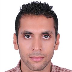Alaa Mohamed Mahmoud, Agent