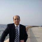 شربل Abou-Jawde, Project Manager