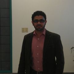 Abdelmagid Elhakim, senior project manager