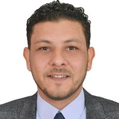 Talaat Magid Mohamed Talaat  Fareed , Contracts Manager 