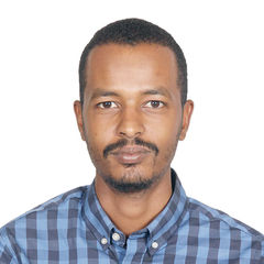 Ahmed baba Mahmoud Hassan, Project Site Manager
