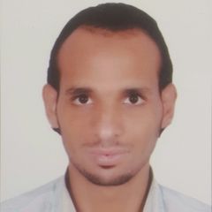 محمود علاء الدين محمد الصياد, Computer technician