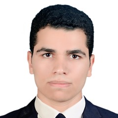 Khedr Souleiman Dahy Hassan