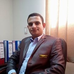 Hany Ragab Mohammed, System Engineer