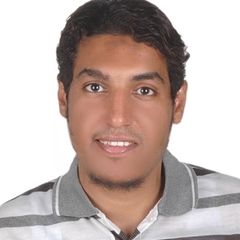 Mohamed Morsy, Low current systems Department manager as a consultant Engineer 