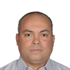 Khaled Moawad, Business Analyst