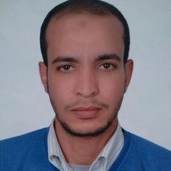محمد عادل عبد اللطيف, Geologist / Negotiation Expert
