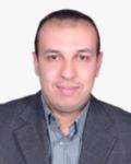 Adel Sherkawi, Electrical Project Engineer