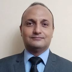 Mohamed Hamed, Management Consultant
