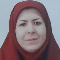 Zahra SHekaramiz