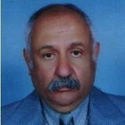 Mahmoud EL Nigoumi, Counsaltant