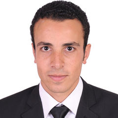AbdelMaguid Ibrahem, Structural Design Team Leader