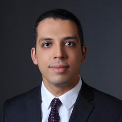 Ahmed Shawky Salem, Associate Director - Internal Audit & Risk Advisory