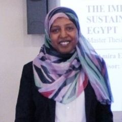 Amira El-shazly, Group leader