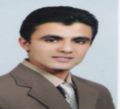 محمد سعيد السيد خليل, freelancer Trainer