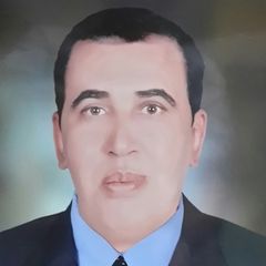 محمد حجازي, finance manager