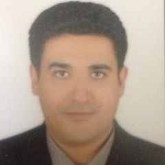 tamer mamdouh elshishtawy, Service Engineer