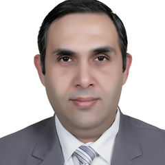 Emad Azmy, Inventory planning Audit Manager