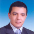 Wesam Zaki, .Net Team Leader - System Analyst