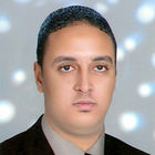 Mohamed Saleh Mohamed Abdelmoniem