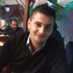 سفيان أبو لبن, Freelancer & consultant