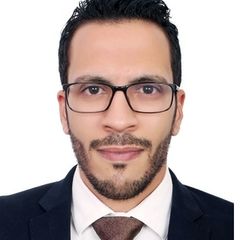 Hossam Abdelrady, Senior Marketing Executive