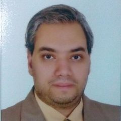 ahmed mahmoud abdul monem abdul kader, Senior Web Developer