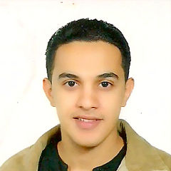 Waleed Abdul Majeed