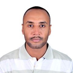 محمد اسماعيل محمد عبدون, Site Accountant