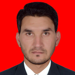 Muhammad Saleem Afridi, QA/QC Inspector