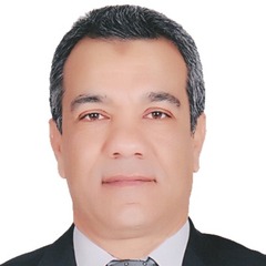 Yasser Abdelmoniem